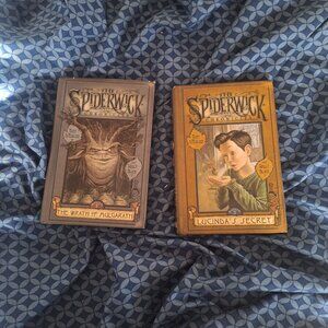 2 SPIDERWICK CHRONICLES hardcover books